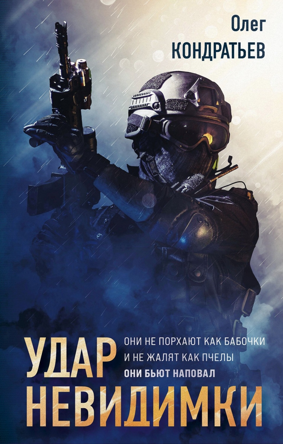 Обложка книги «Удар невидимки»