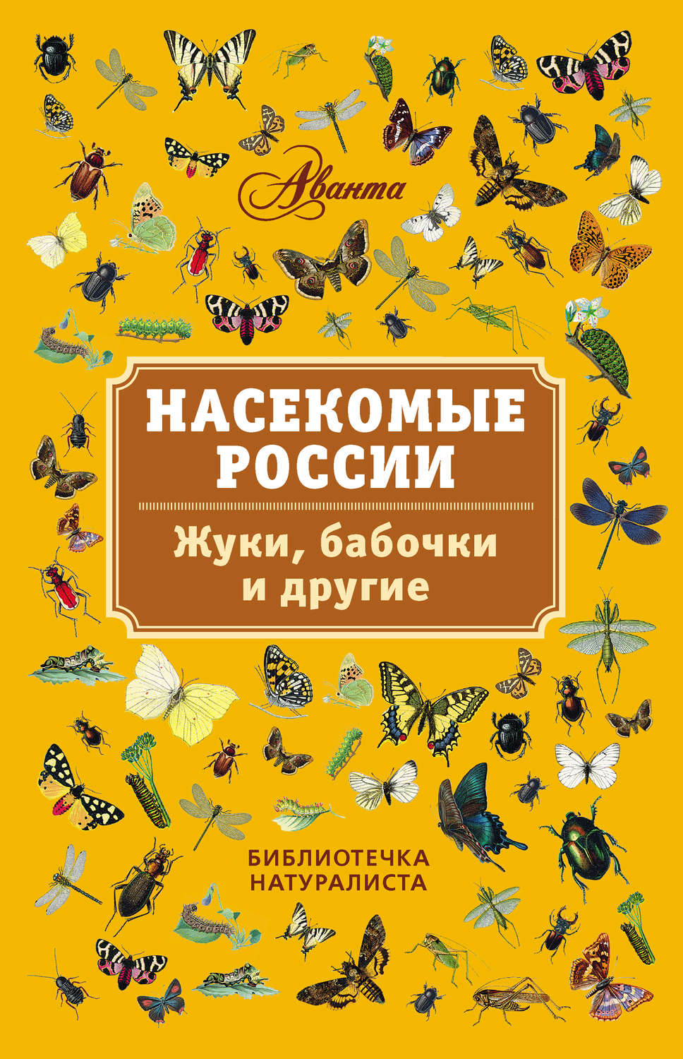Обложка книги «Насекомые России. Жуки, бабочки и другие»