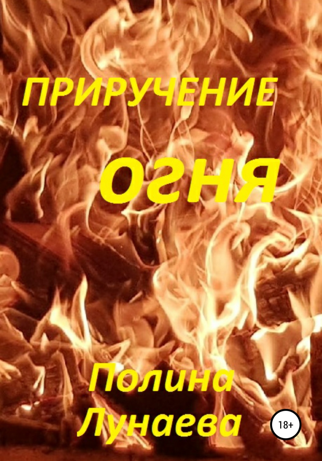 Обложка книги «Приручение огня»