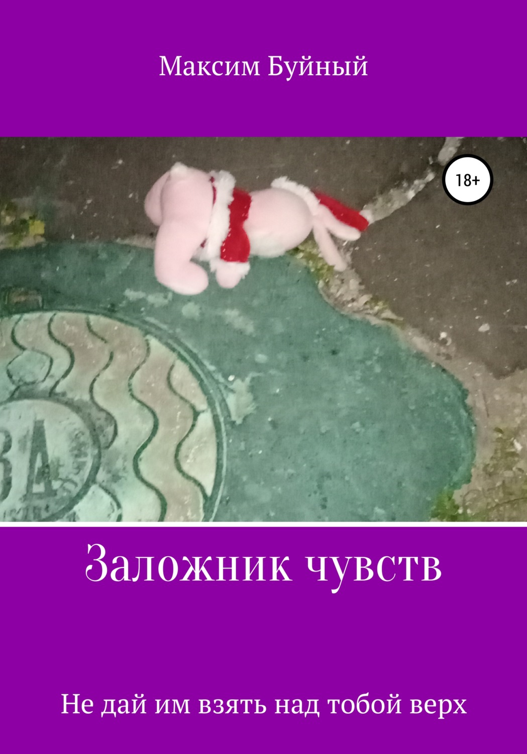 Обложка книги «Заложник чувств»