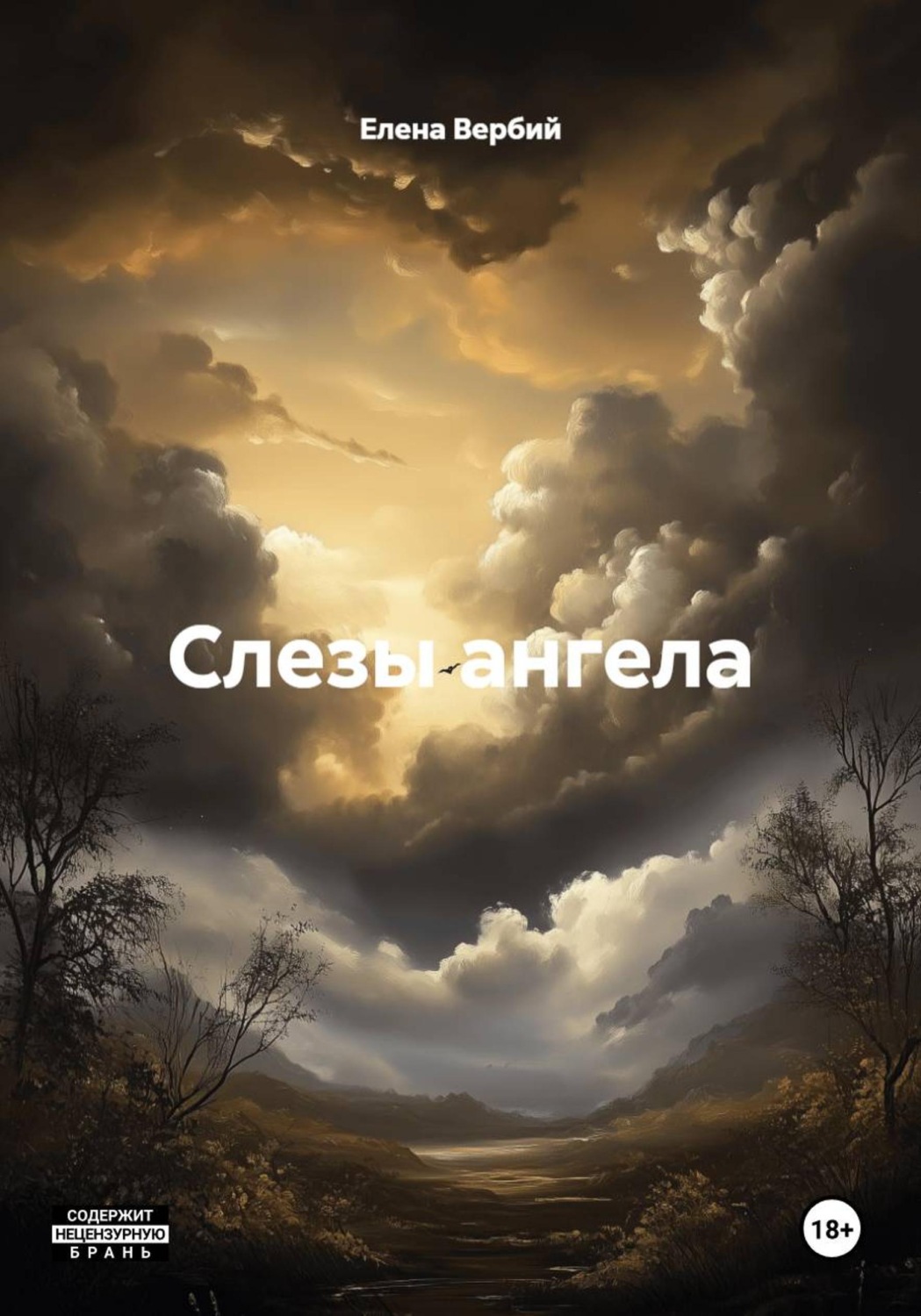 Обложка книги «Слезы ангела»