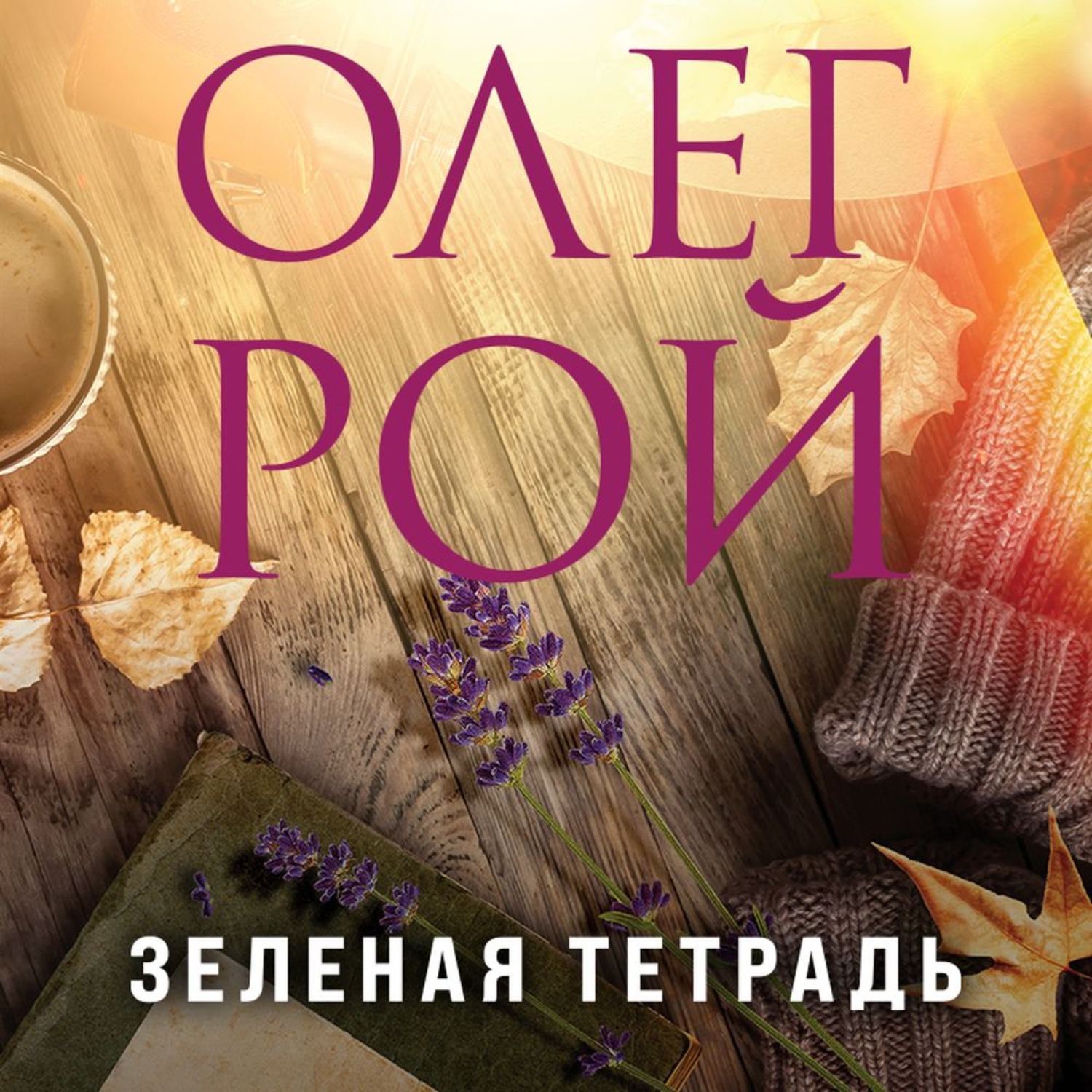 Обложка книги «Зеленая тетрадь»