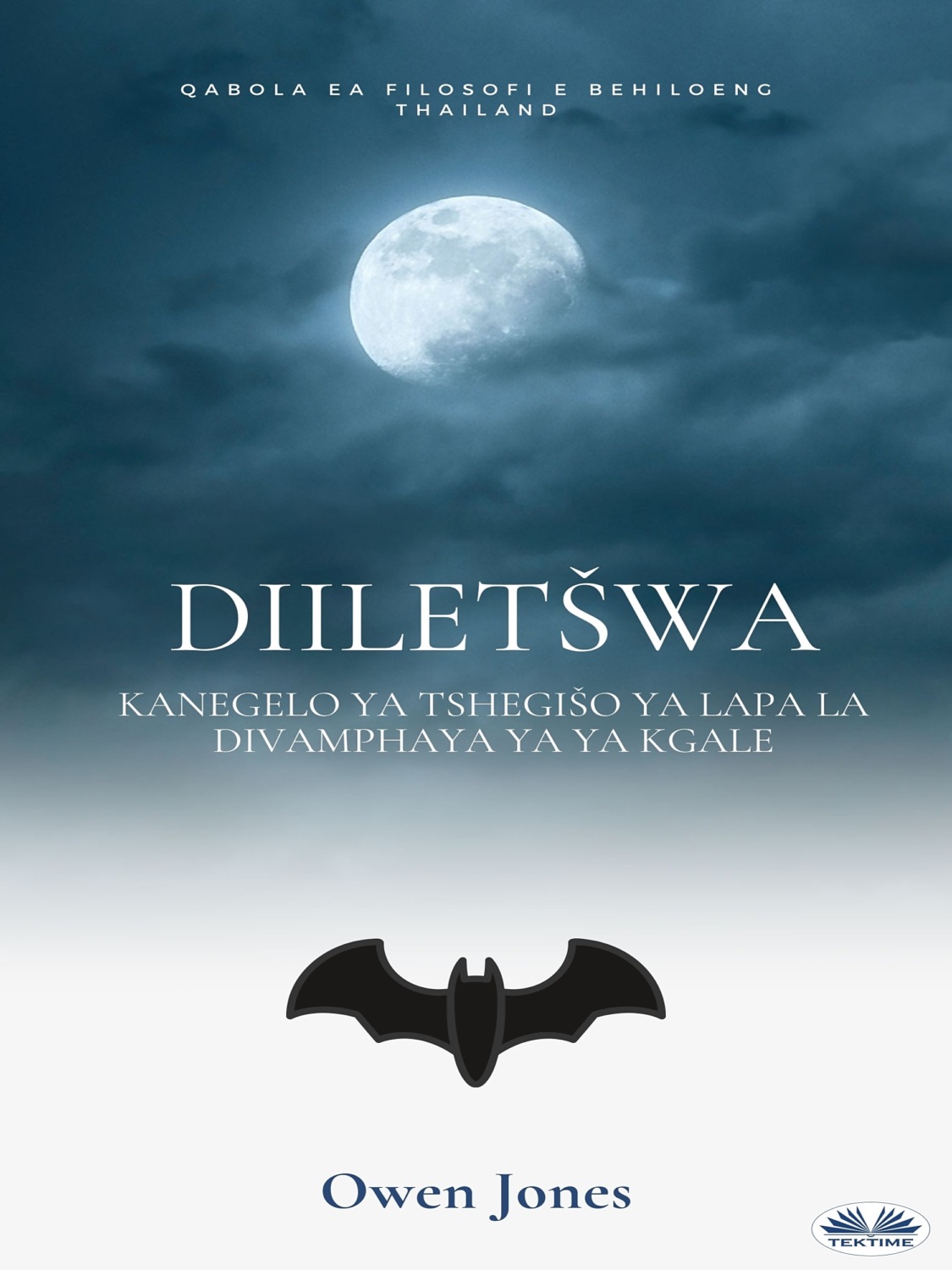 Обложка книги «Diiletšwa»