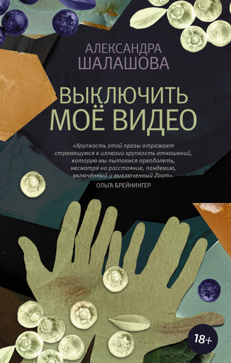 Обложка книги «Выключить моё видео»