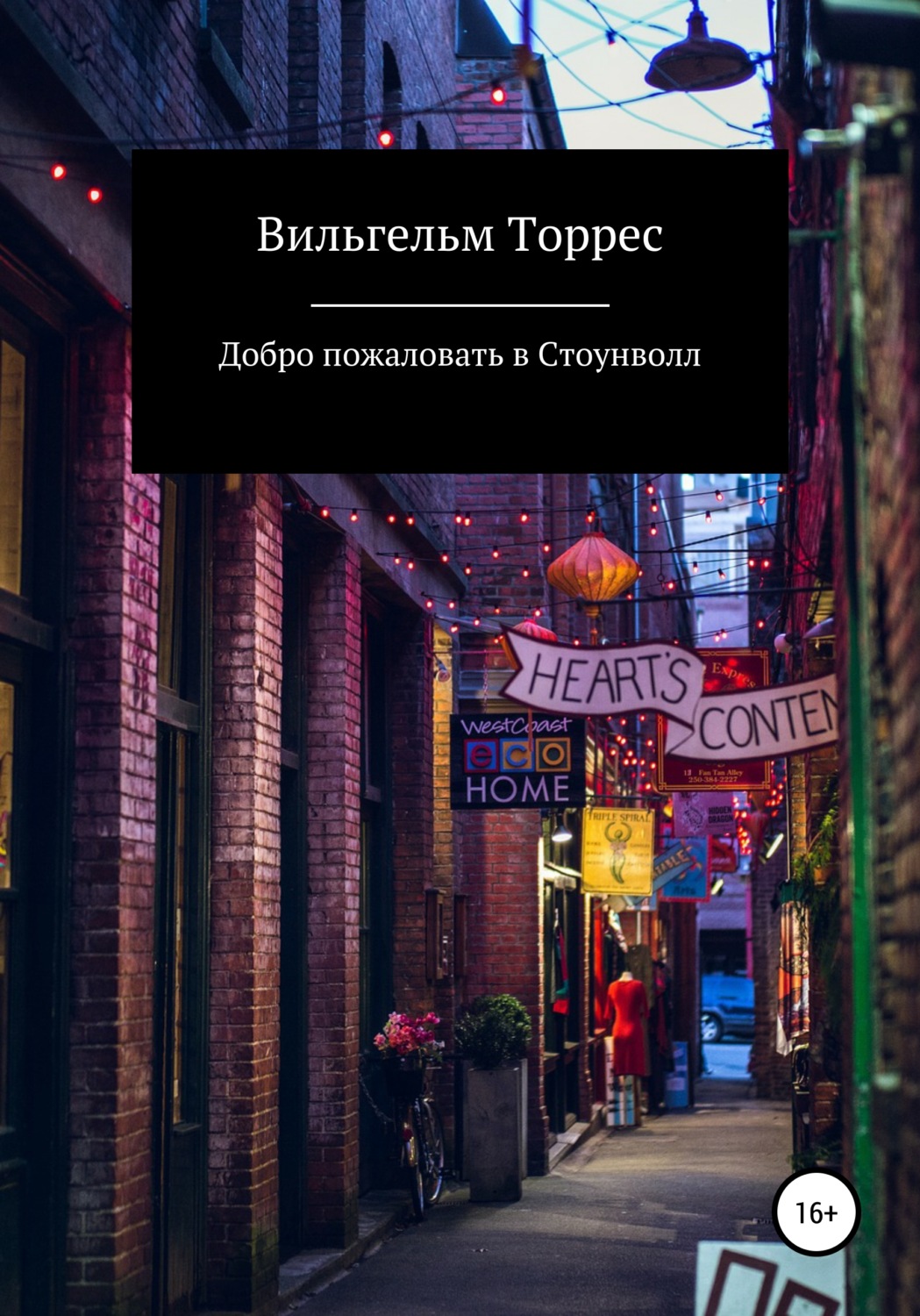 Обложка книги «Добро пожаловать в Стоунволл»