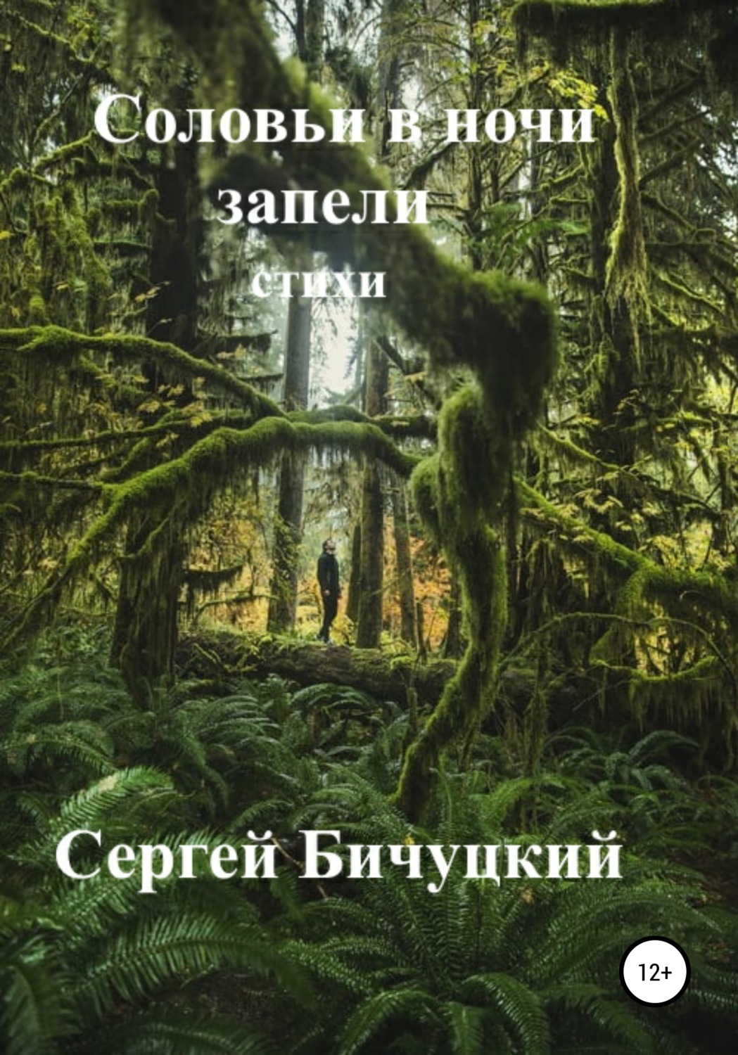 Обложка книги «Соловьи в ночи запели»