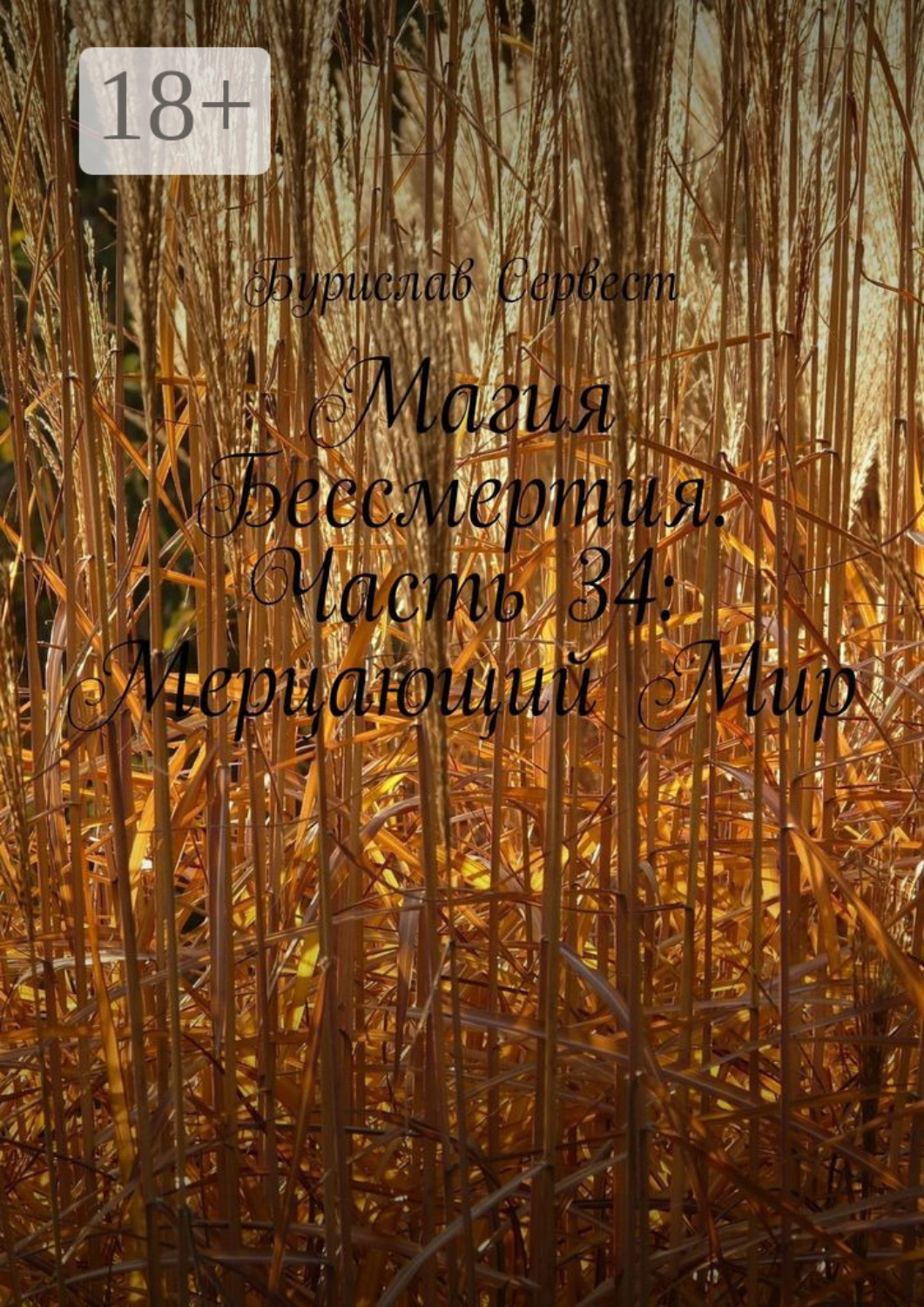 Обложка книги «Магия Бессмертия. Часть 34: Мерцающий Мир»