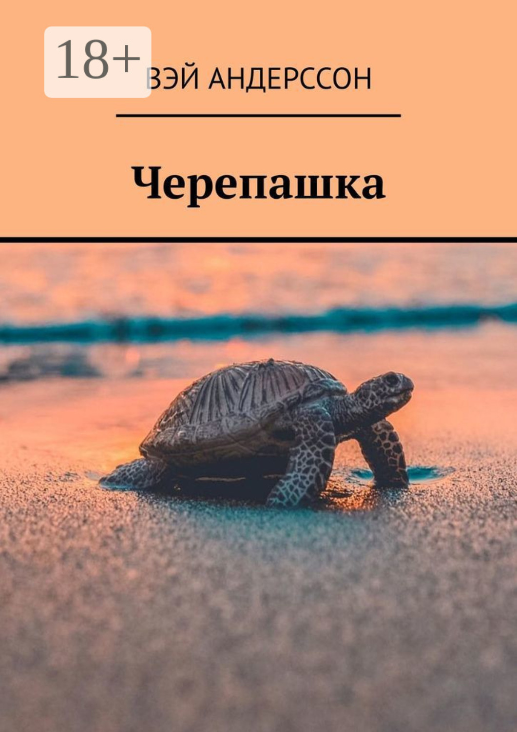 Обложка книги «Черепашка»