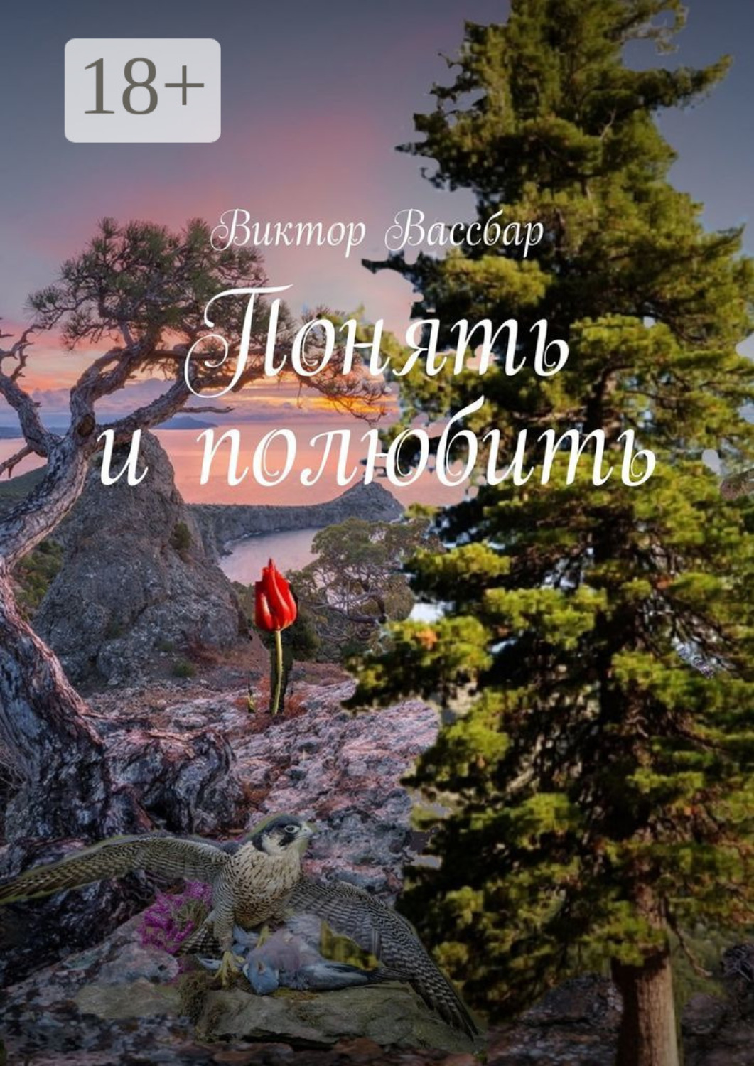 Обложка книги «Понять и полюбить»