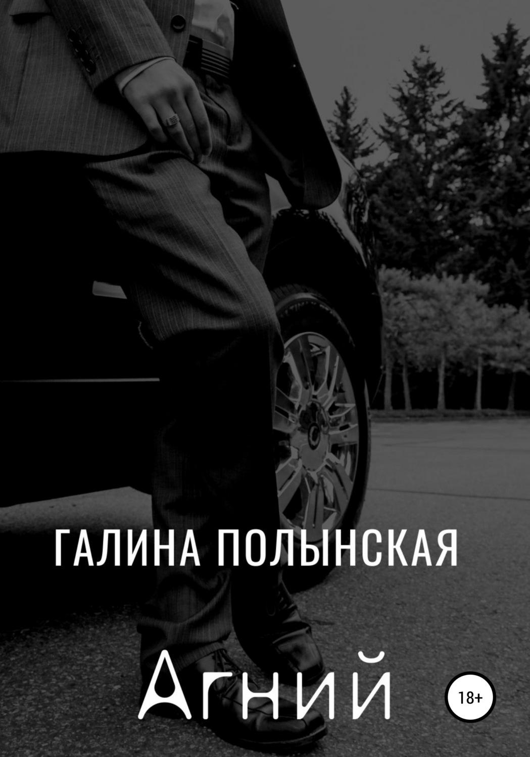 Обложка книги «Агний»