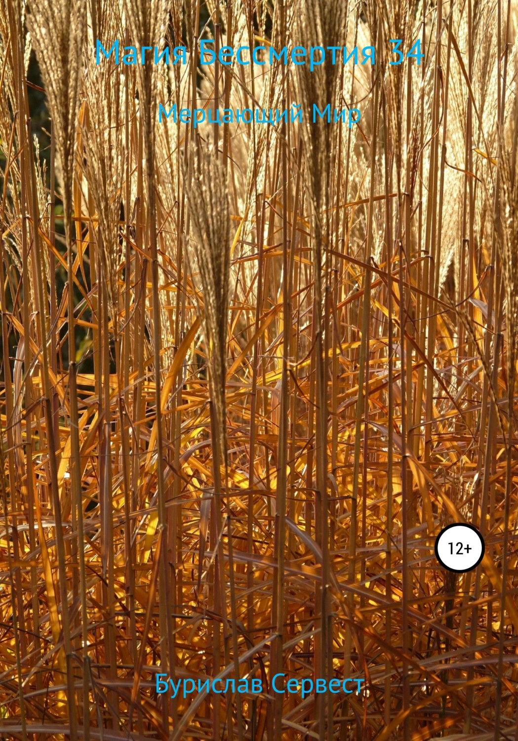 Обложка книги «Магия Бессмертия 34. Мерцающий Мир»
