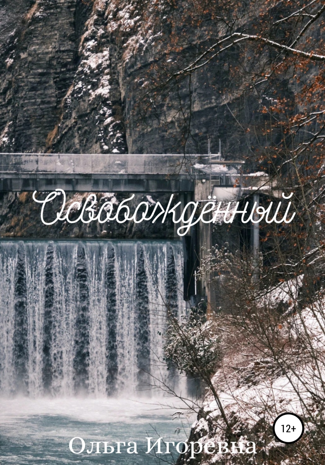 Обложка книги «Освобождённый»