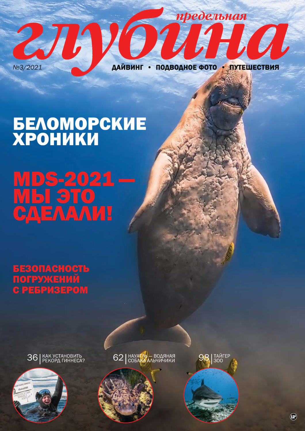 Обложка книги «Предельная Глубина №3/2021»