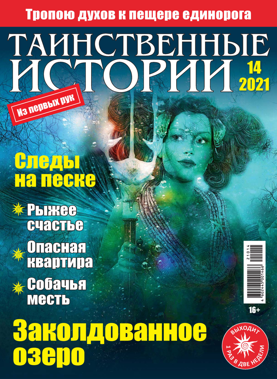 Обложка книги «Таинственные истории №14/2021»