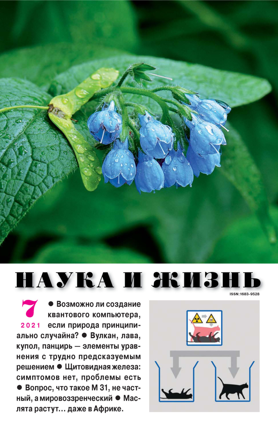 Обложка книги «Наука и жизнь №07/2021»