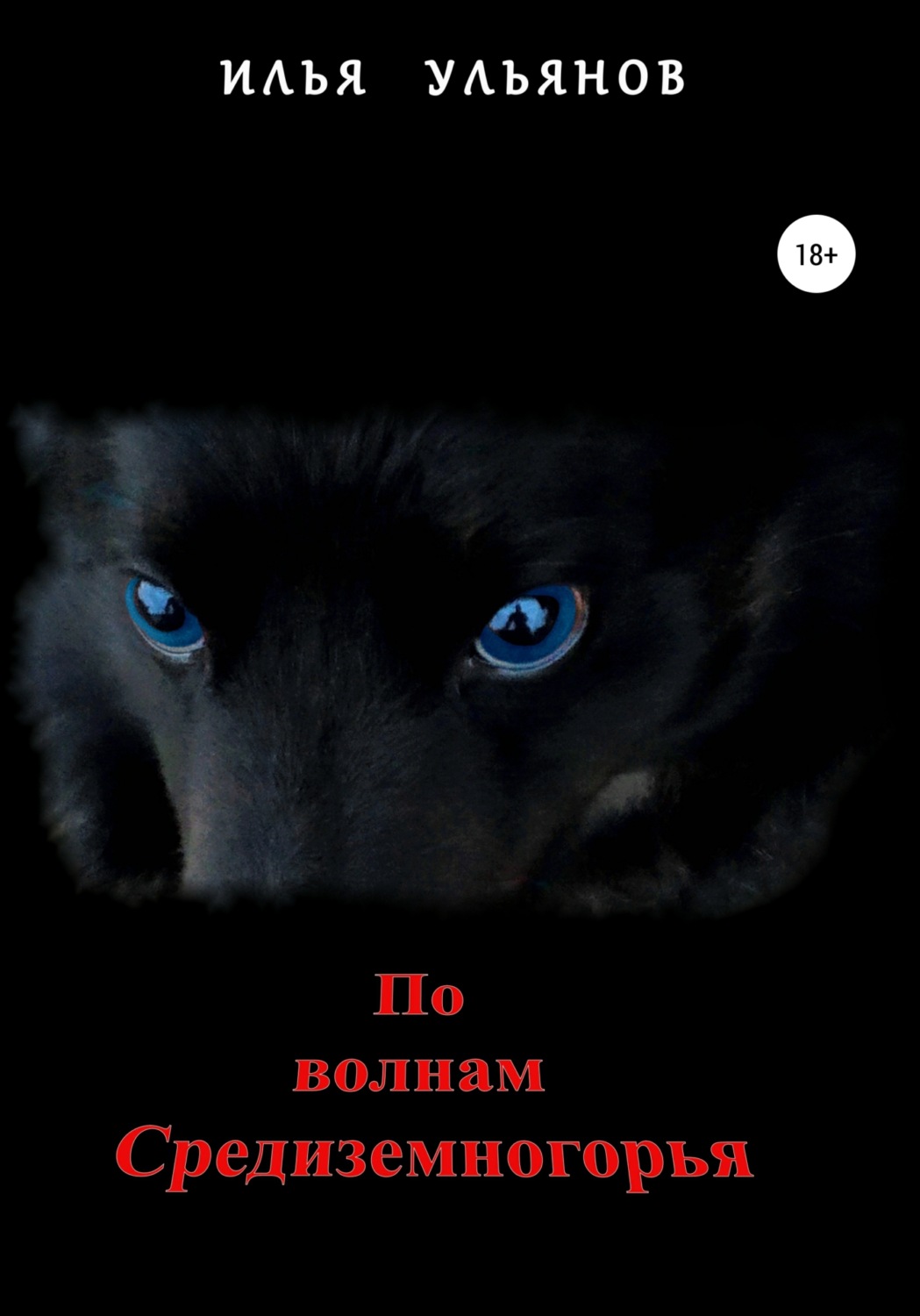 Обложка книги «По волнам Средиземногорья»