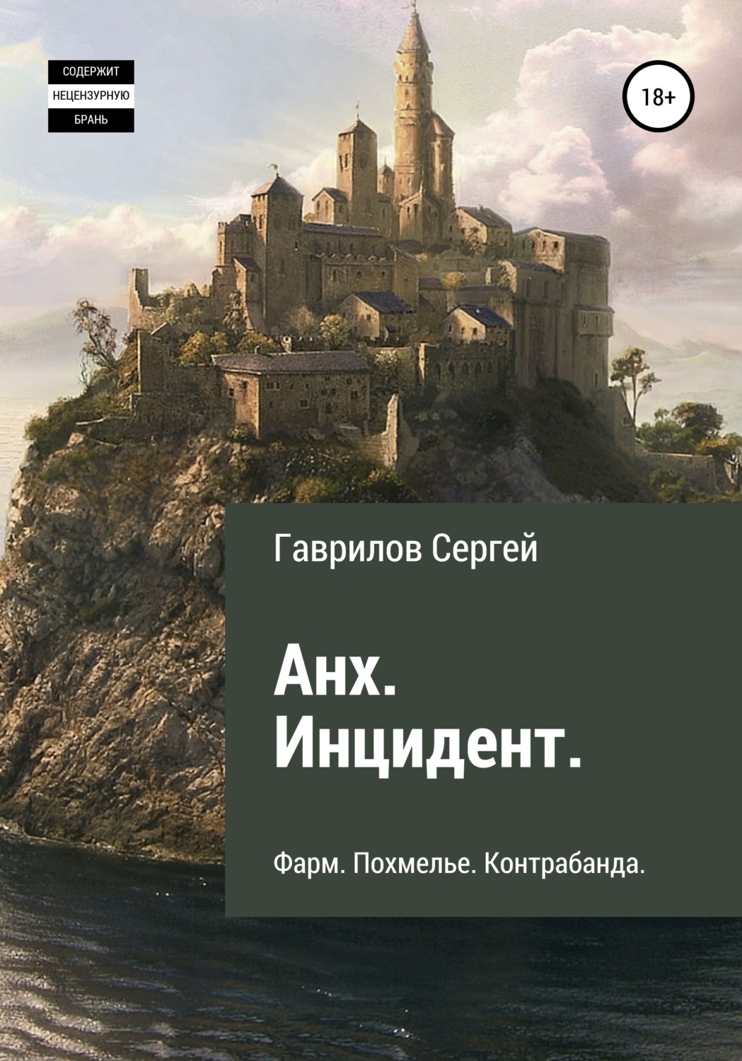 Обложка книги «Анх. Инцидент»