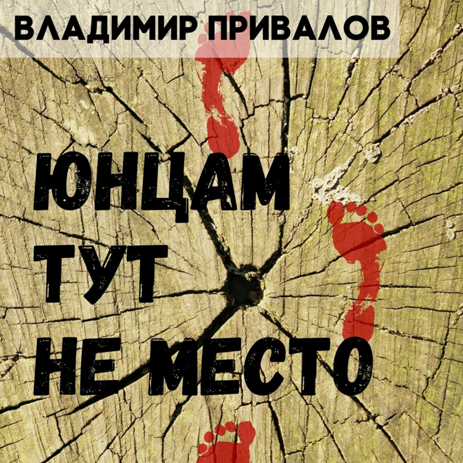 Обложка книги «Юнцам тут не место»