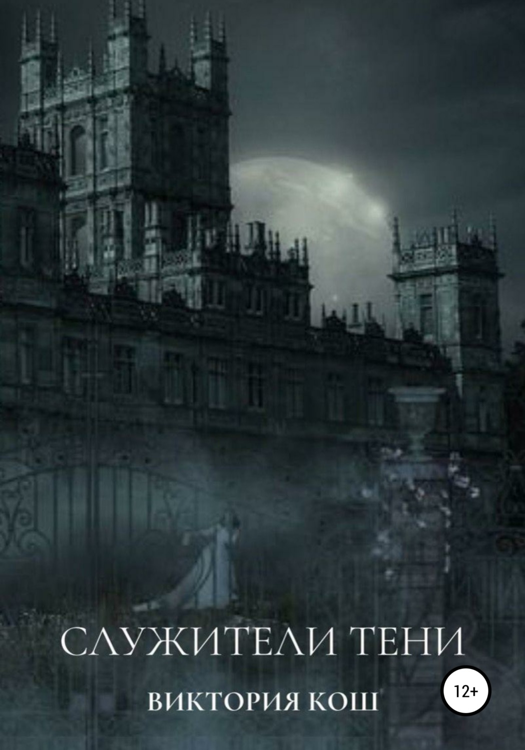 Обложка книги «Служители Тени»