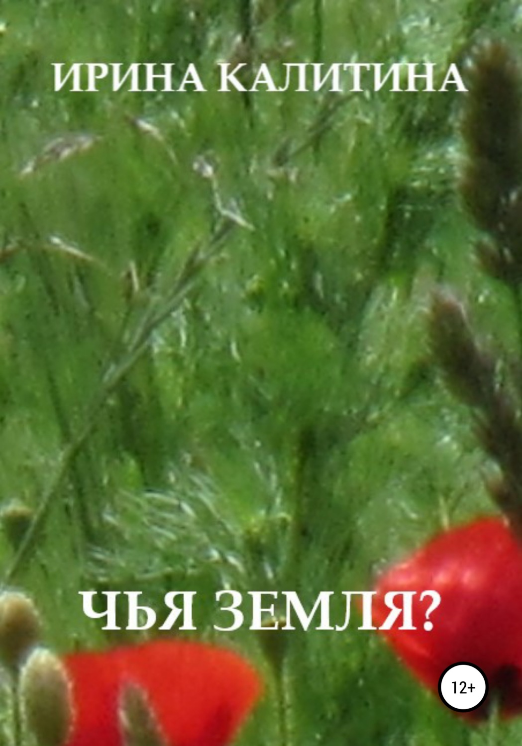 Обложка книги «Чья земля?»