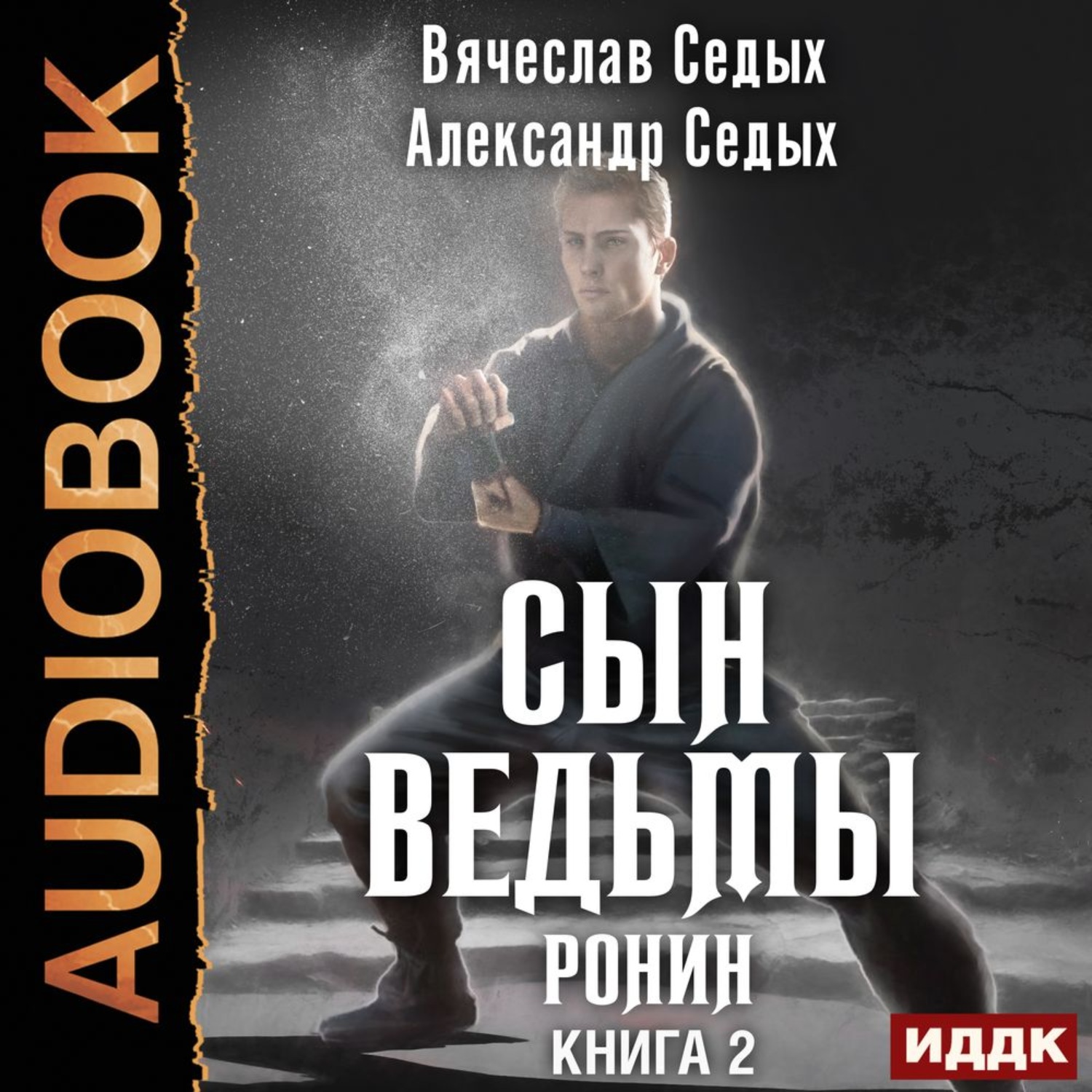 Обложка книги «Ронин»