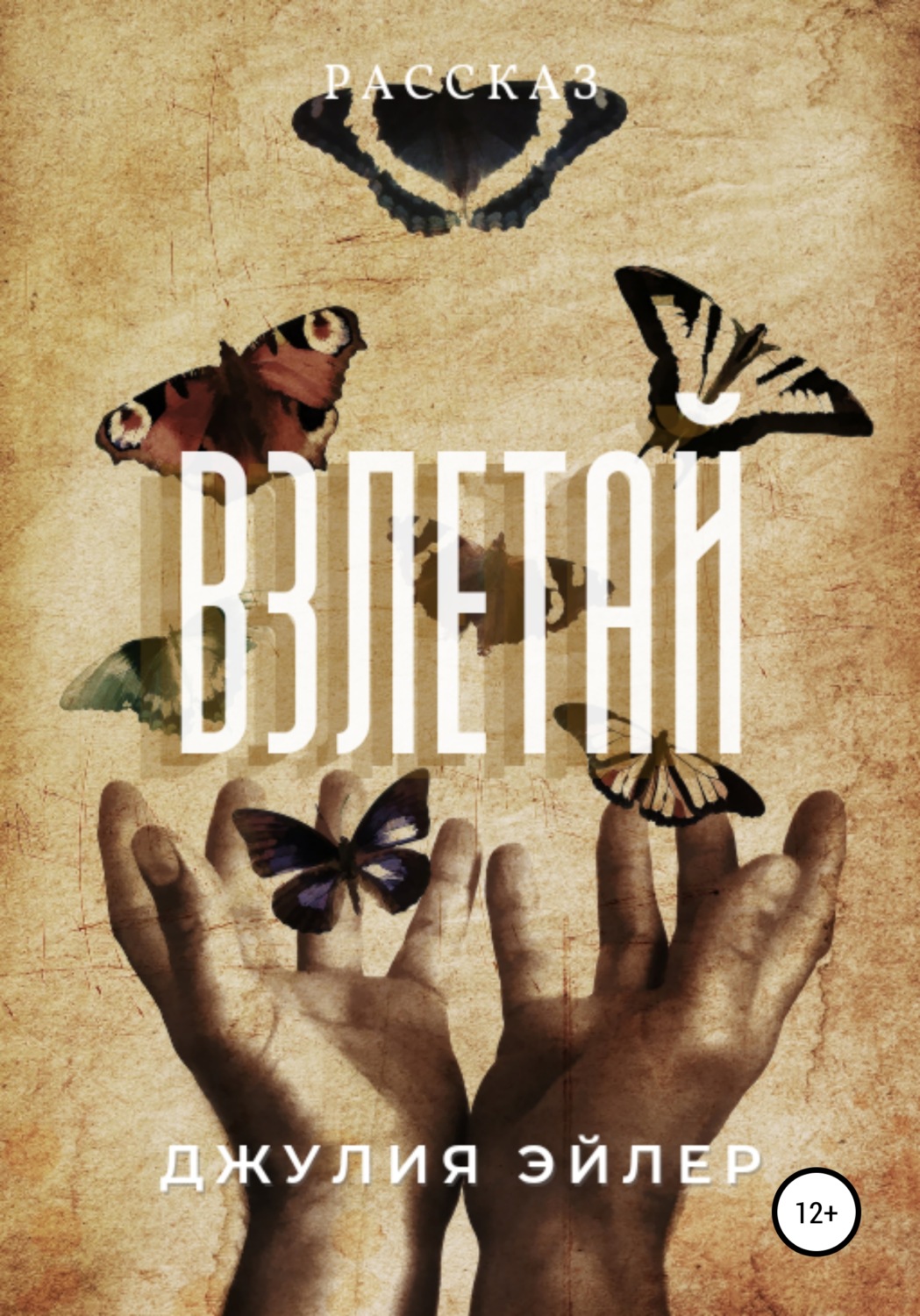 Обложка книги «Взлетай»
