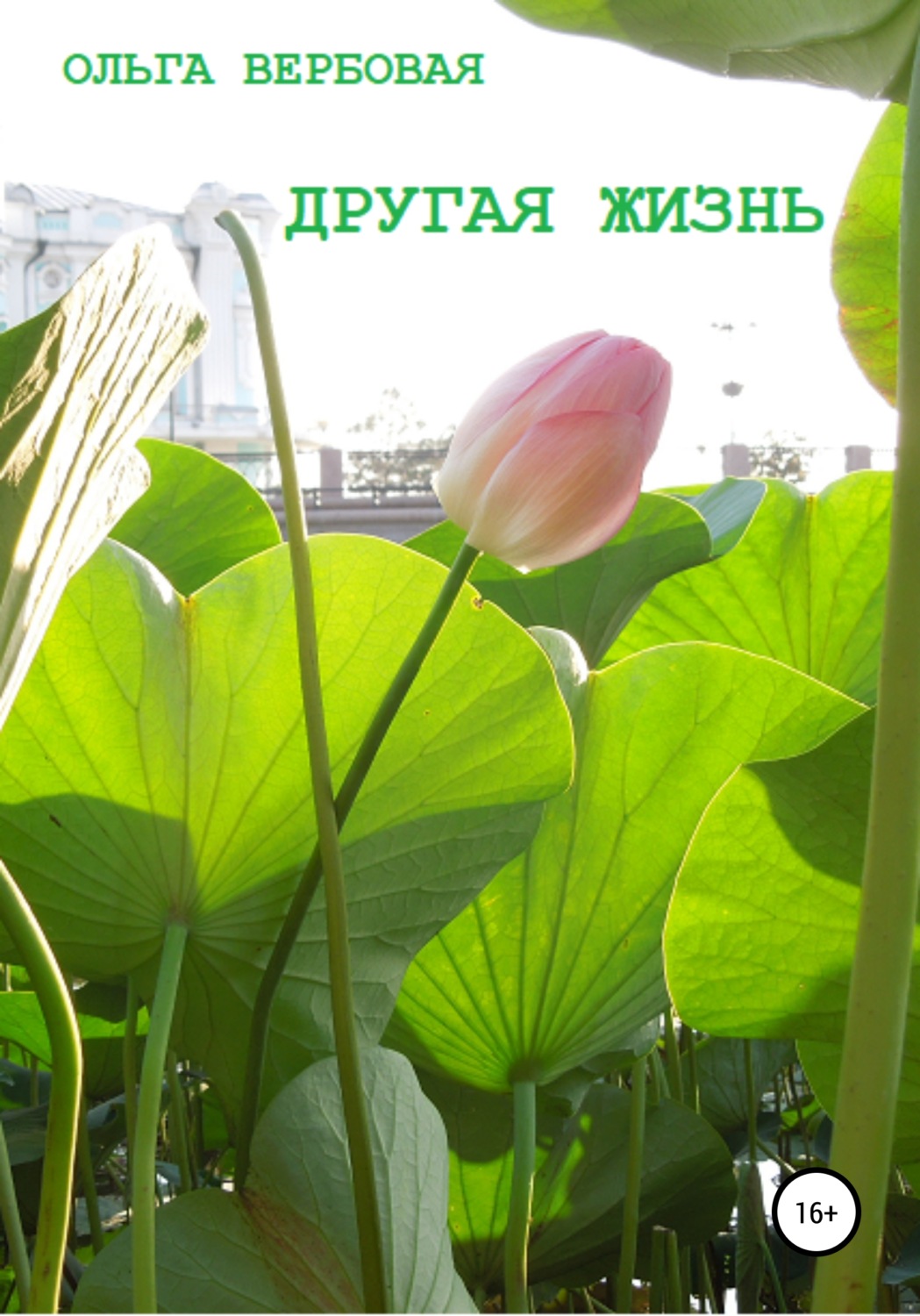 Обложка книги «Другая жизнь»
