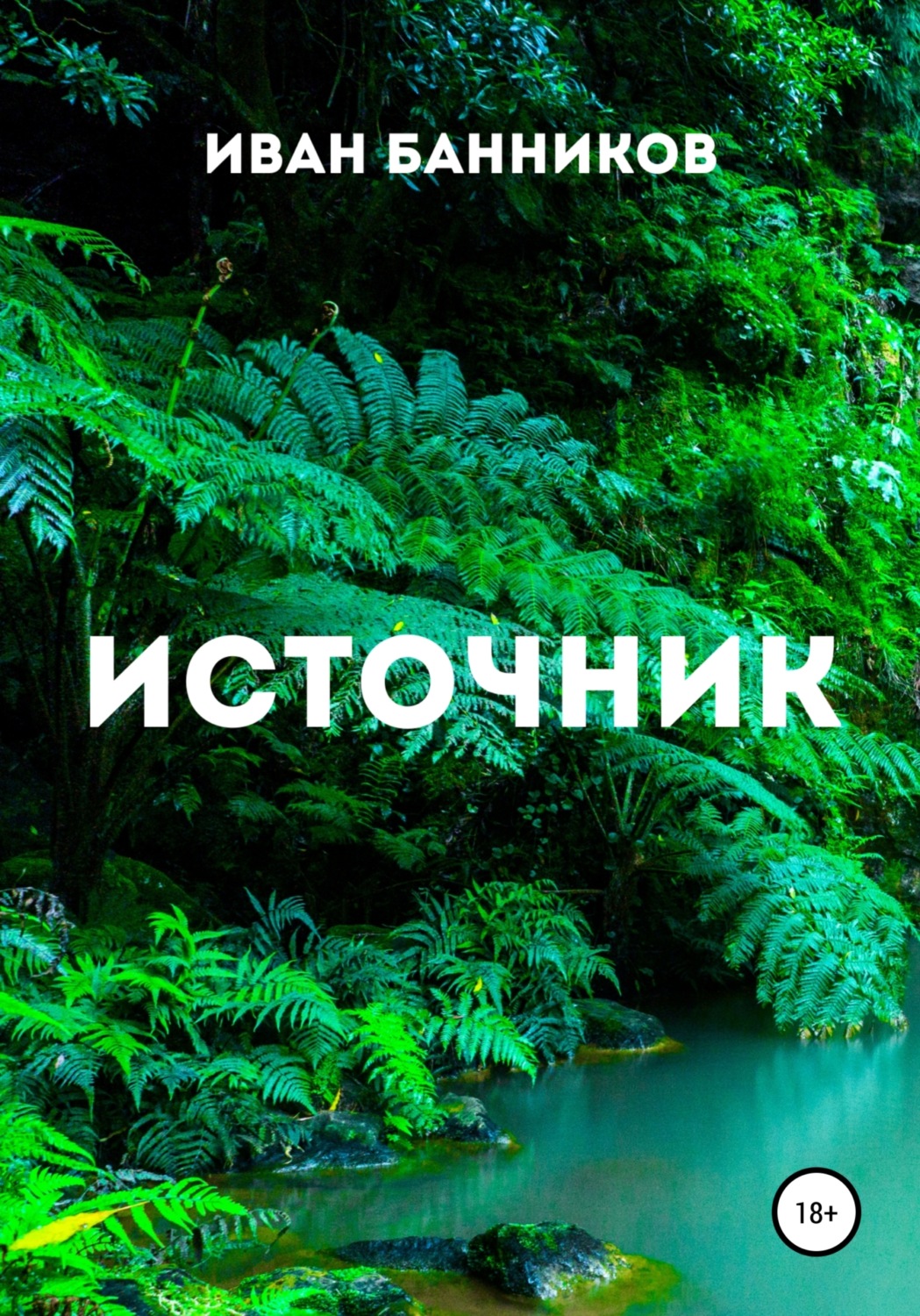 Обложка книги «Источник»
