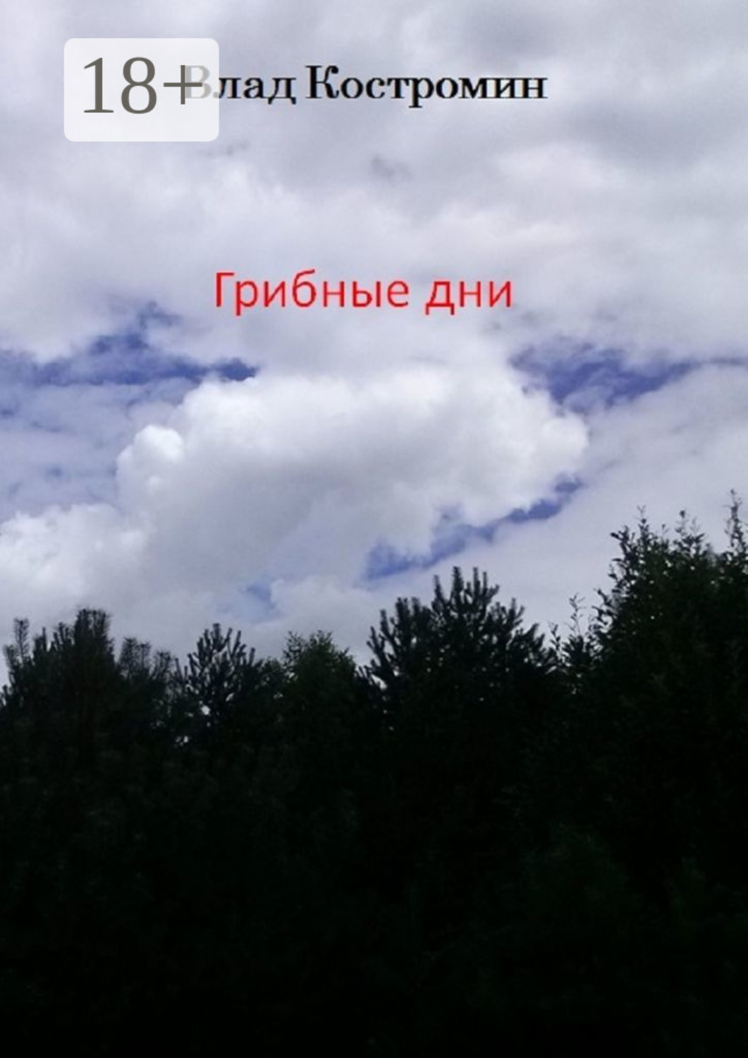 Обложка книги «Грибные дни»