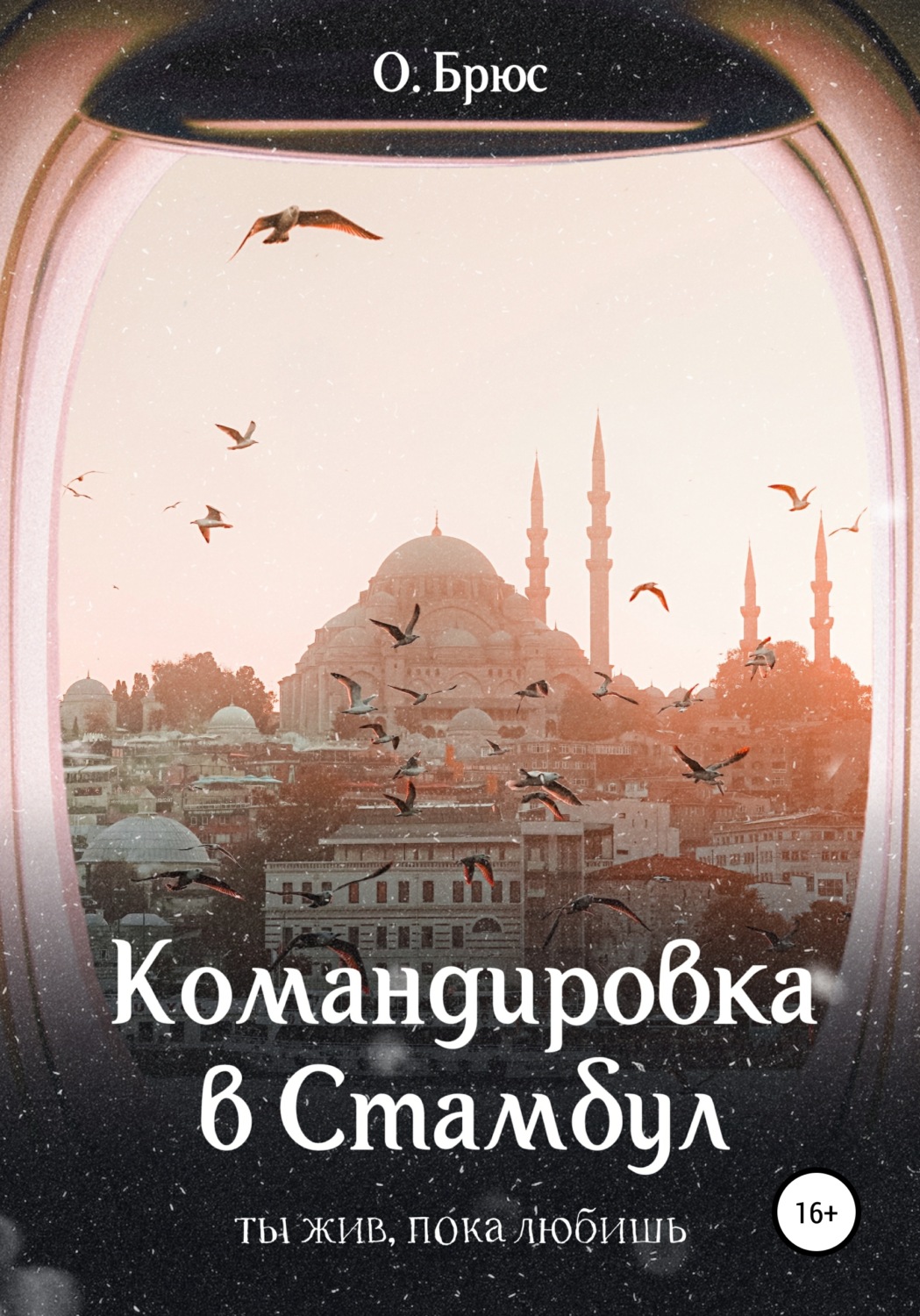 Обложка книги «Командировка в Стамбул»