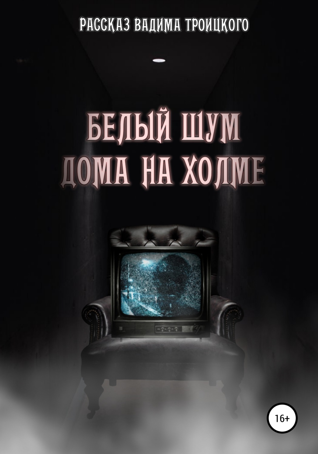 Обложка книги «Белый шум дома на холме»