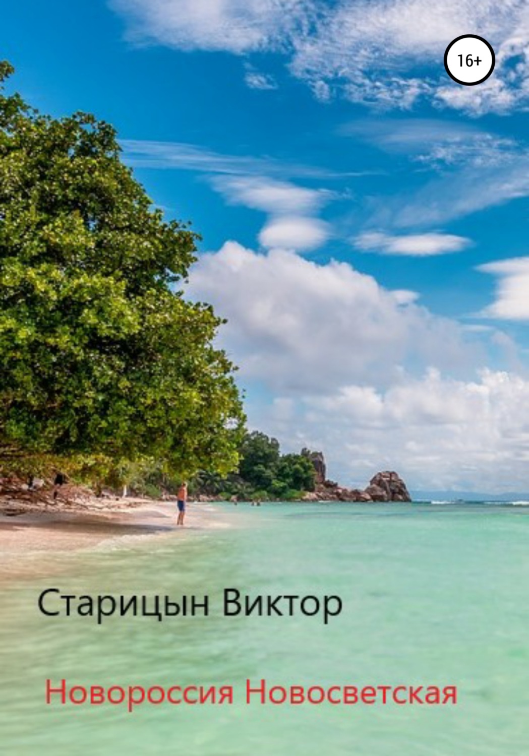Обложка книги «Новороссия Новосветская»