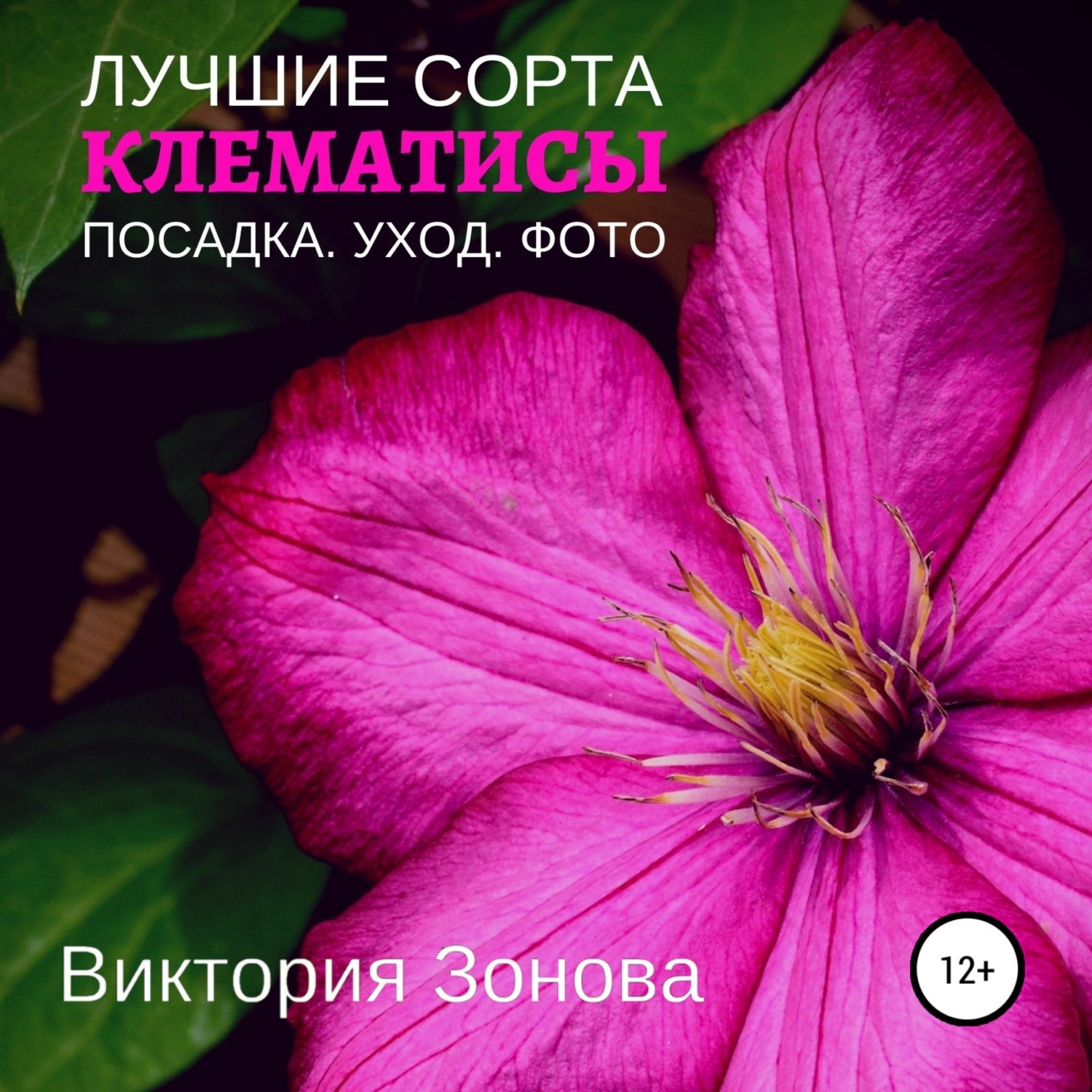 Обложка книги «Клематисы. Лучшие сорта»