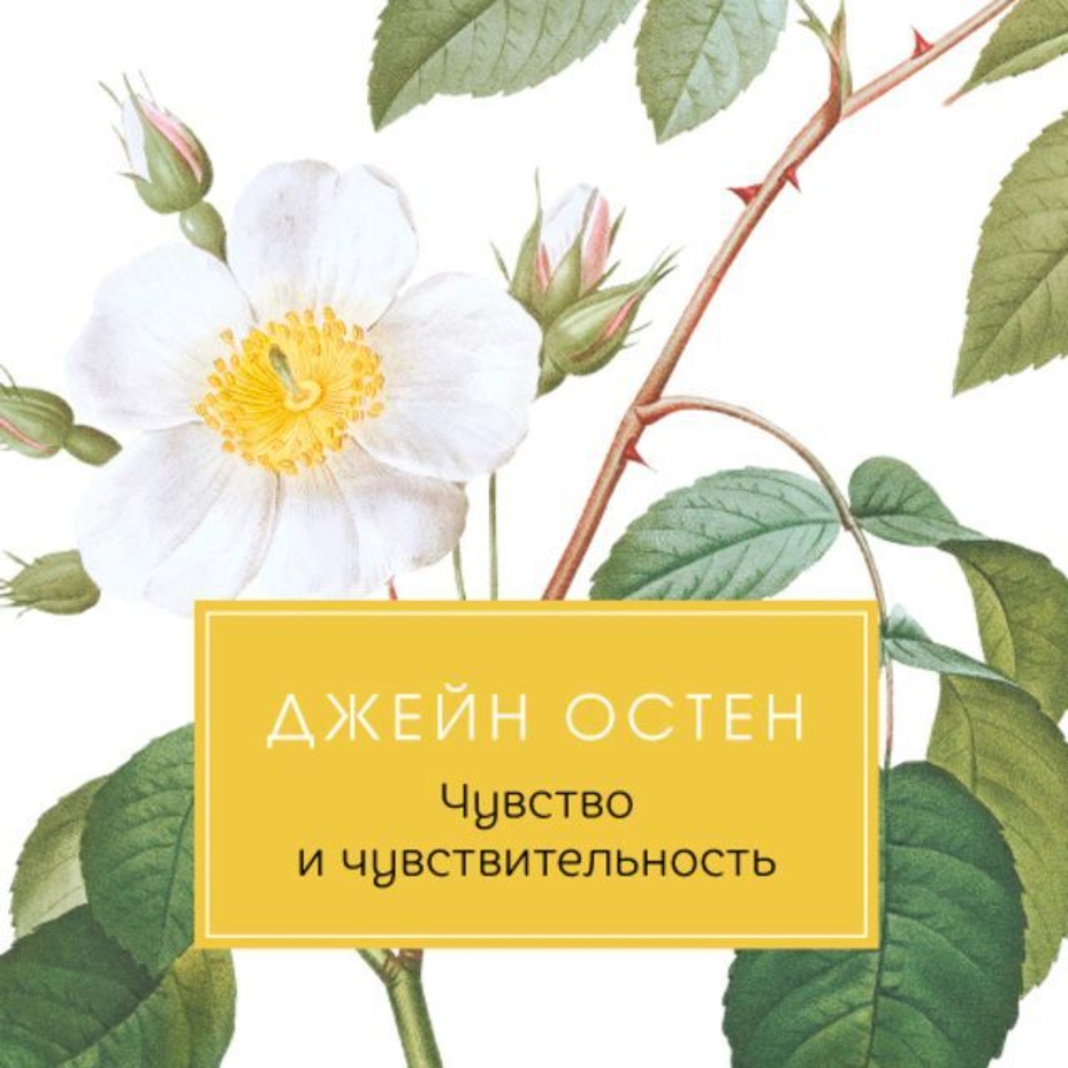 Обложка книги «Чувство и чувствительность»