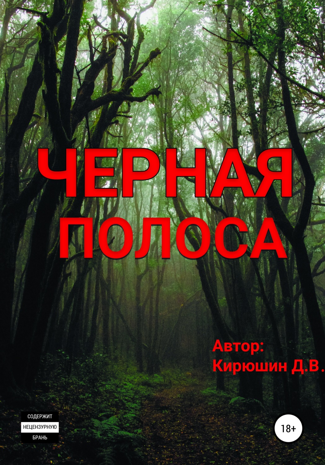 Обложка книги «Черная полоса»