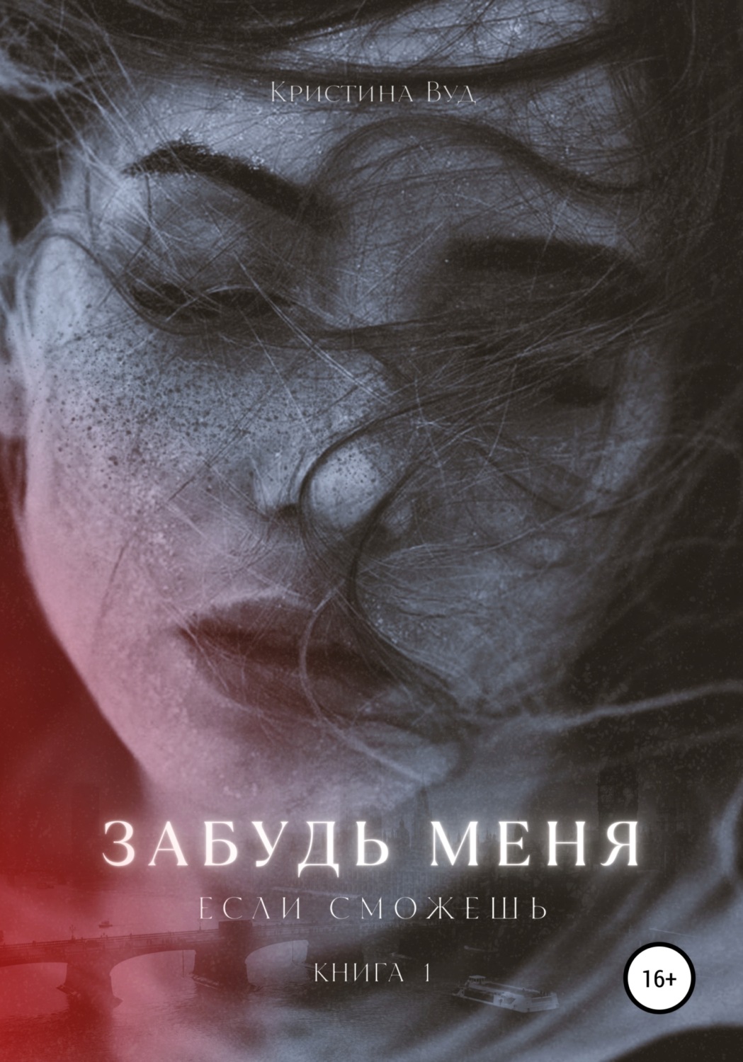 Обложка книги «Забудь меня, если сможешь»