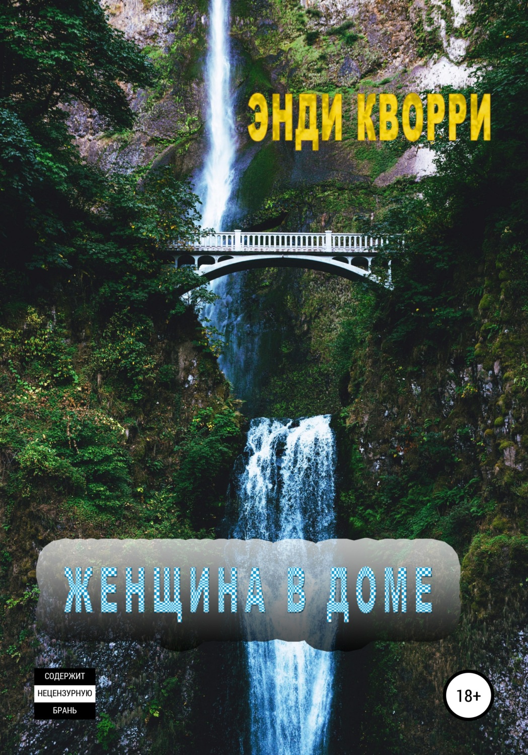 Обложка книги «Женщина в доме»