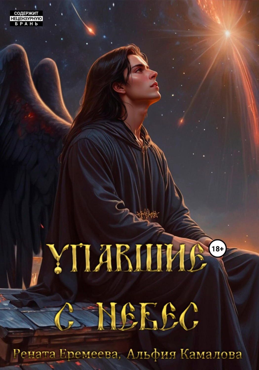Обложка книги «Упавшие с небес. Книга первая»