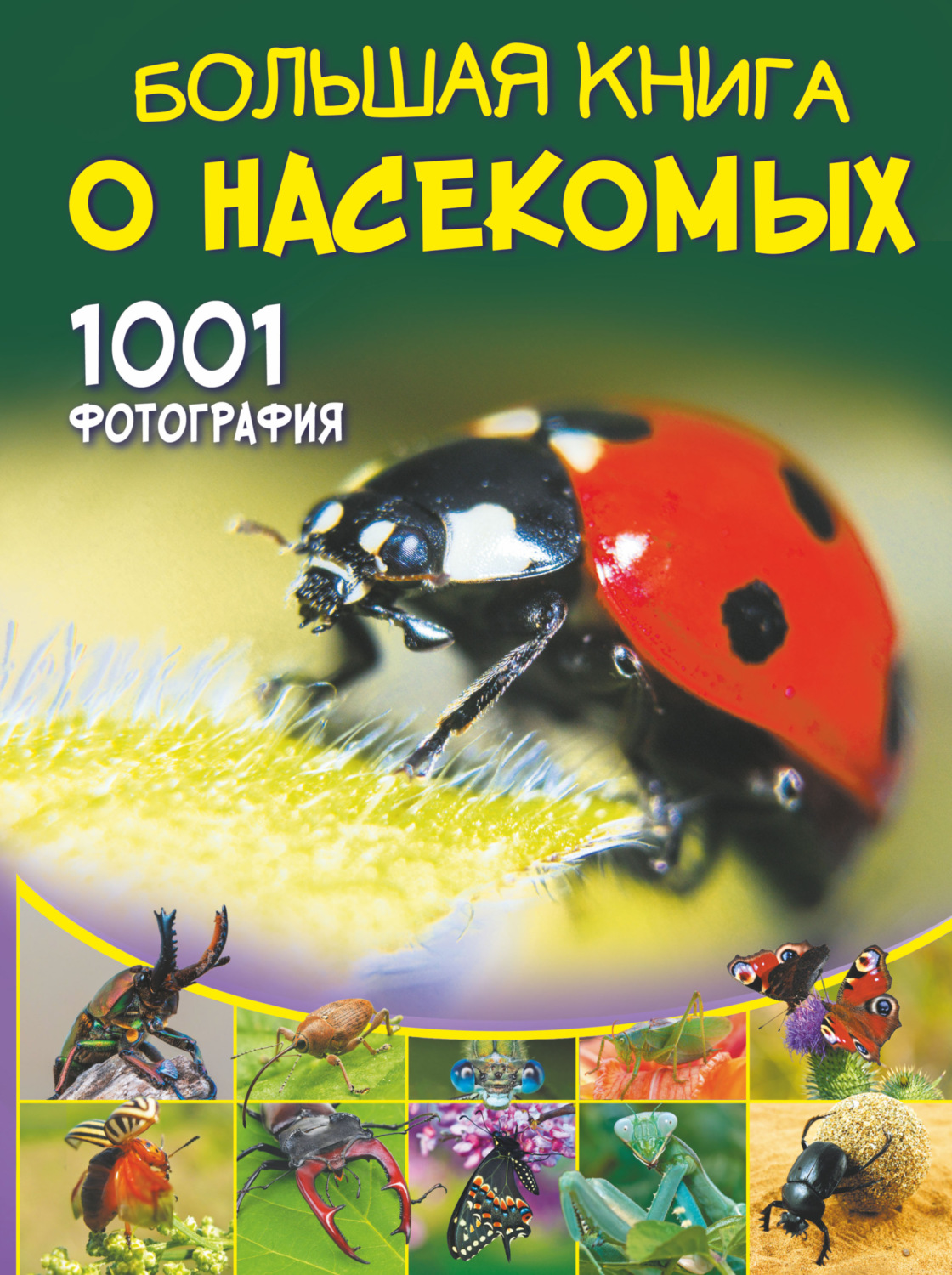 Обложка книги «Большая книга о насекомых. 1001 фотография»
