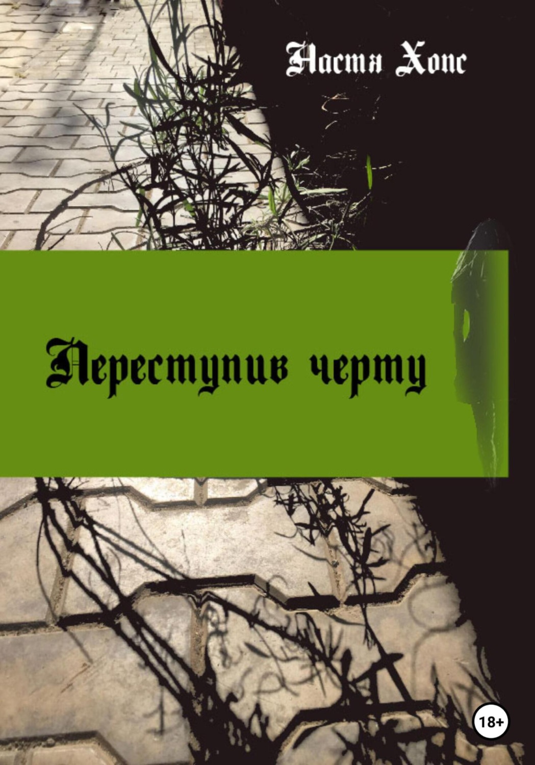 Обложка книги «Переступив черту»