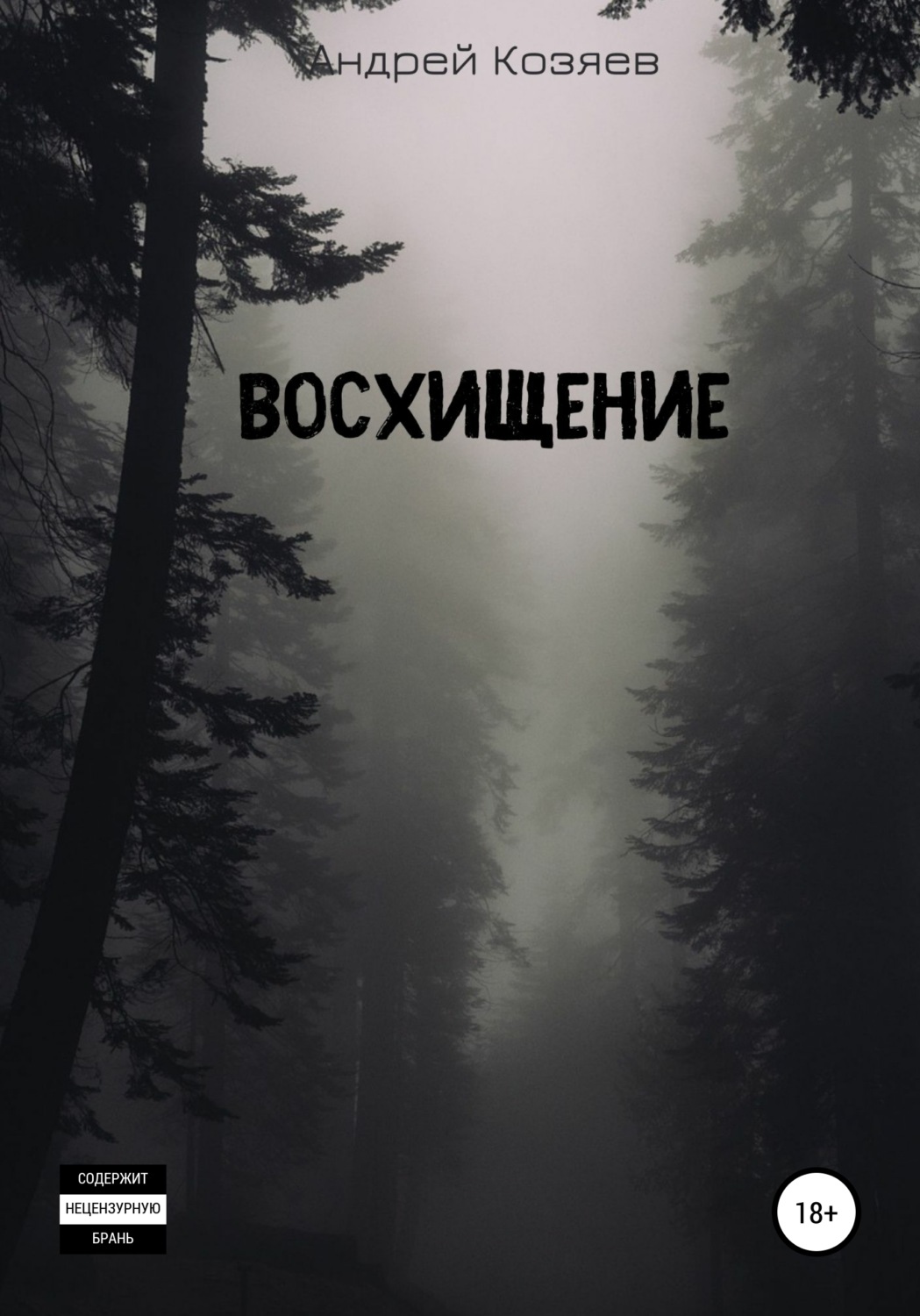 Обложка книги «Восхищение»