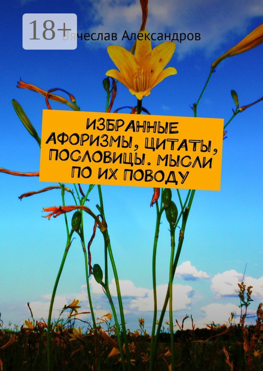 Обложка книги «Избранные афоризмы, цитаты, пословицы. Мысли по их поводу»