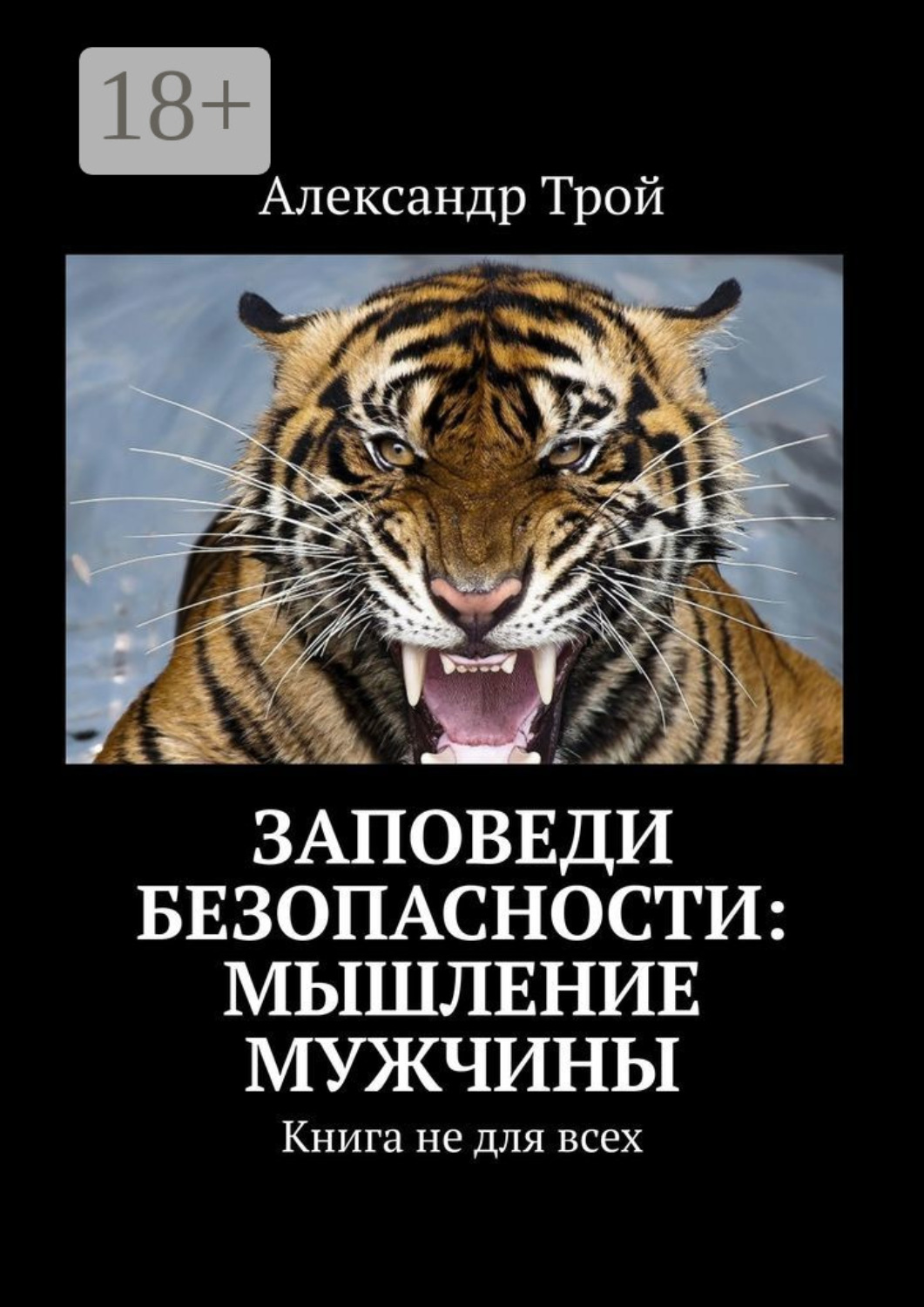 Обложка книги «Заповеди безопасности: мышление мужчины. Книга не для всех»