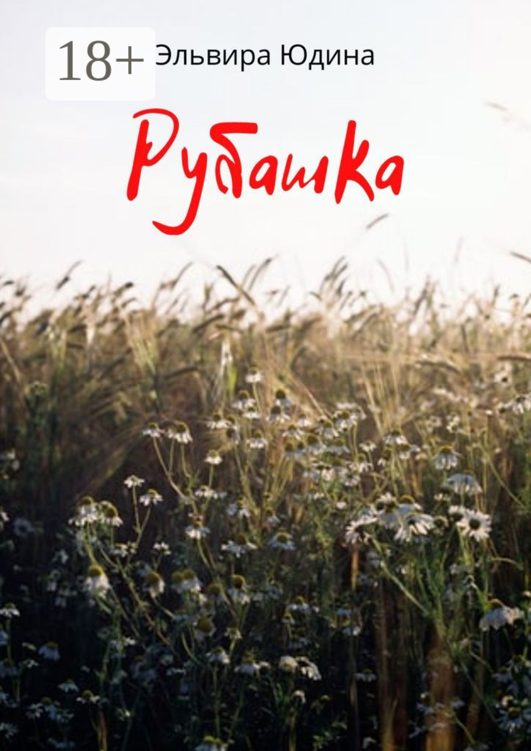 Обложка книги «Рубашка»