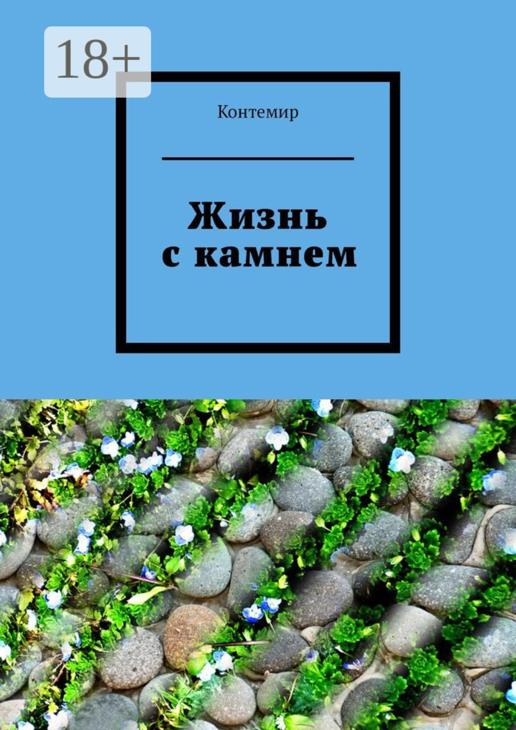 Обложка книги «Жизнь с камнем»