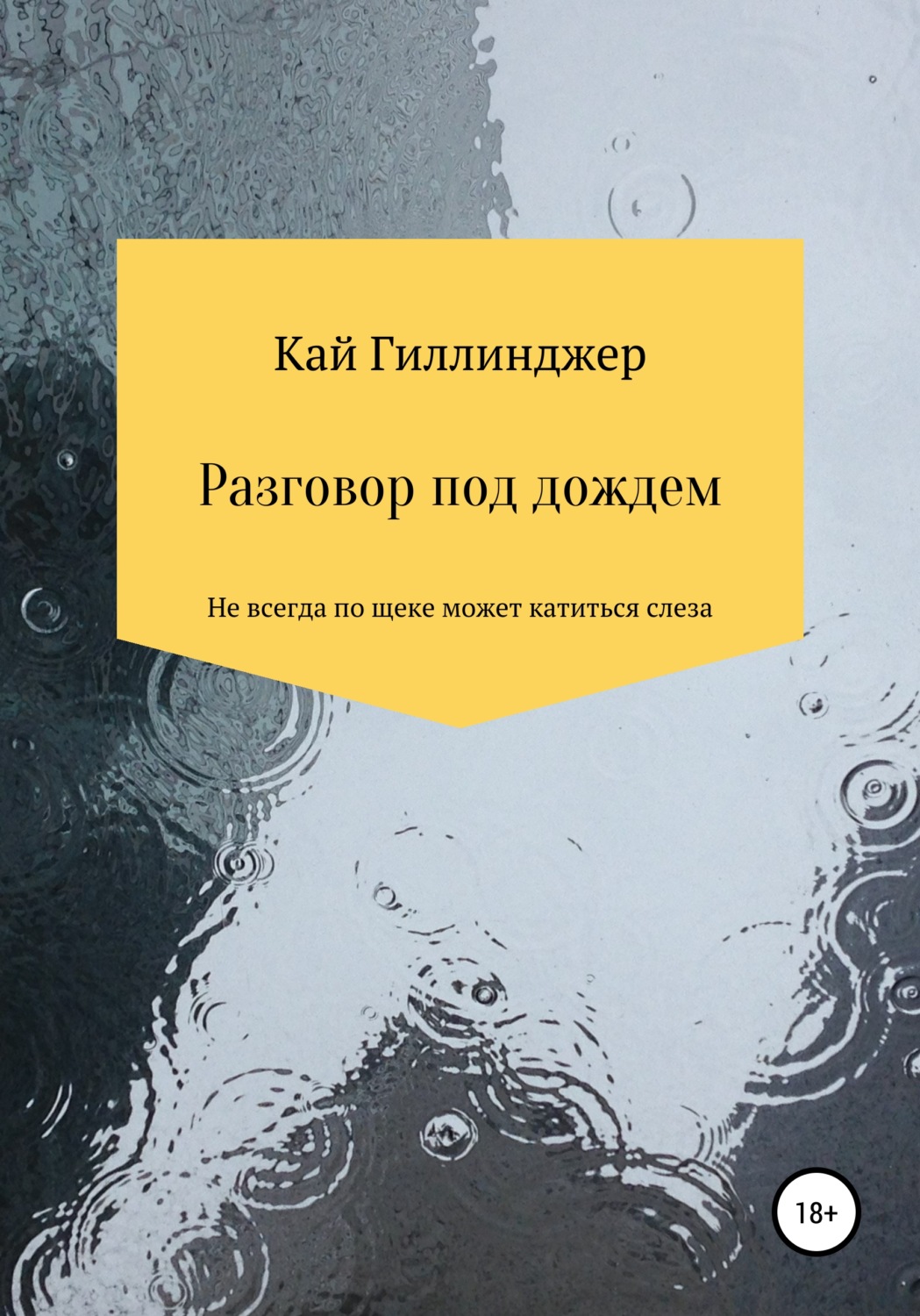 Обложка книги «Разговор под дождём»