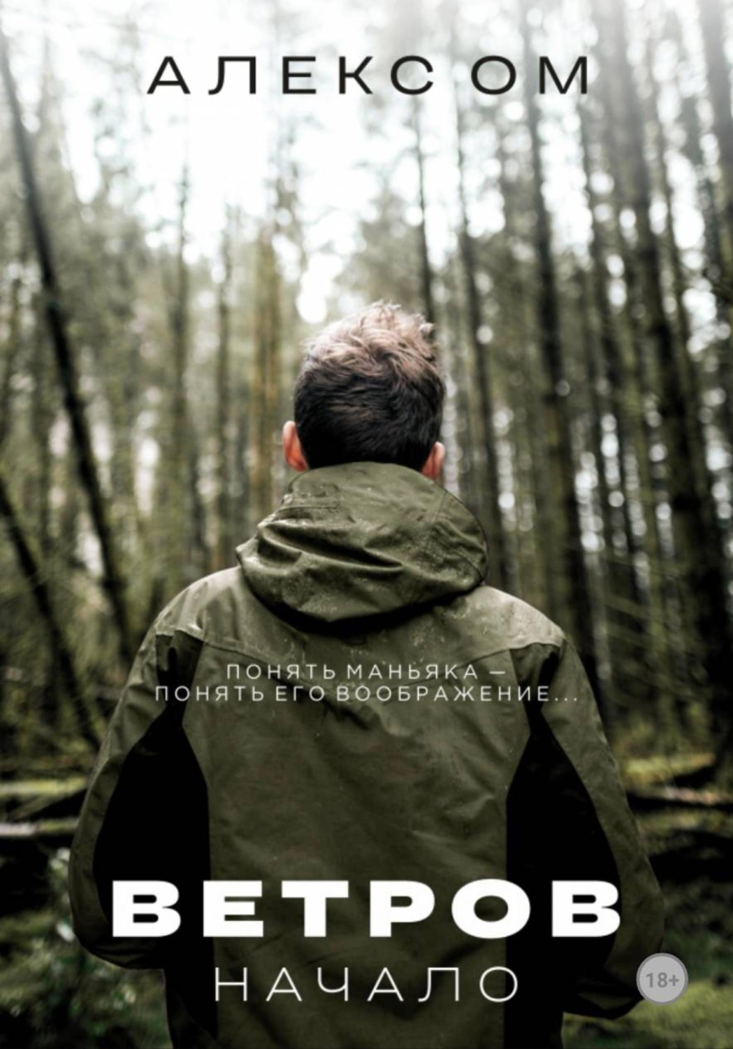 Обложка книги «Ветров. Начало»