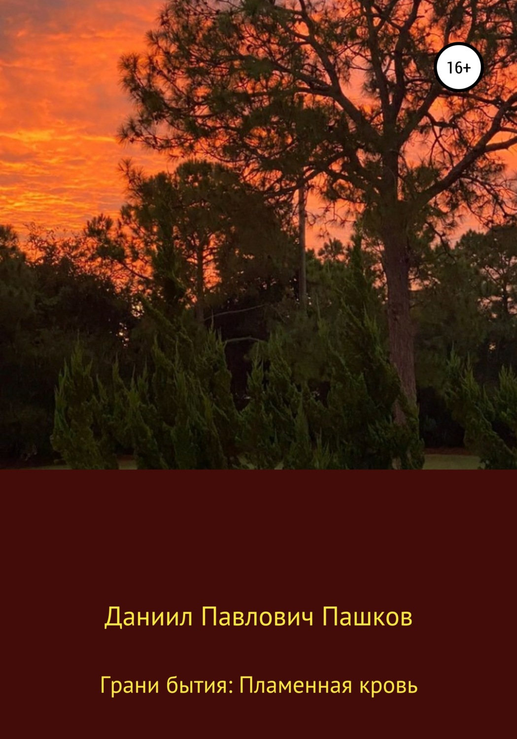 Обложка книги «Грани бытия: Пламенная кровь»