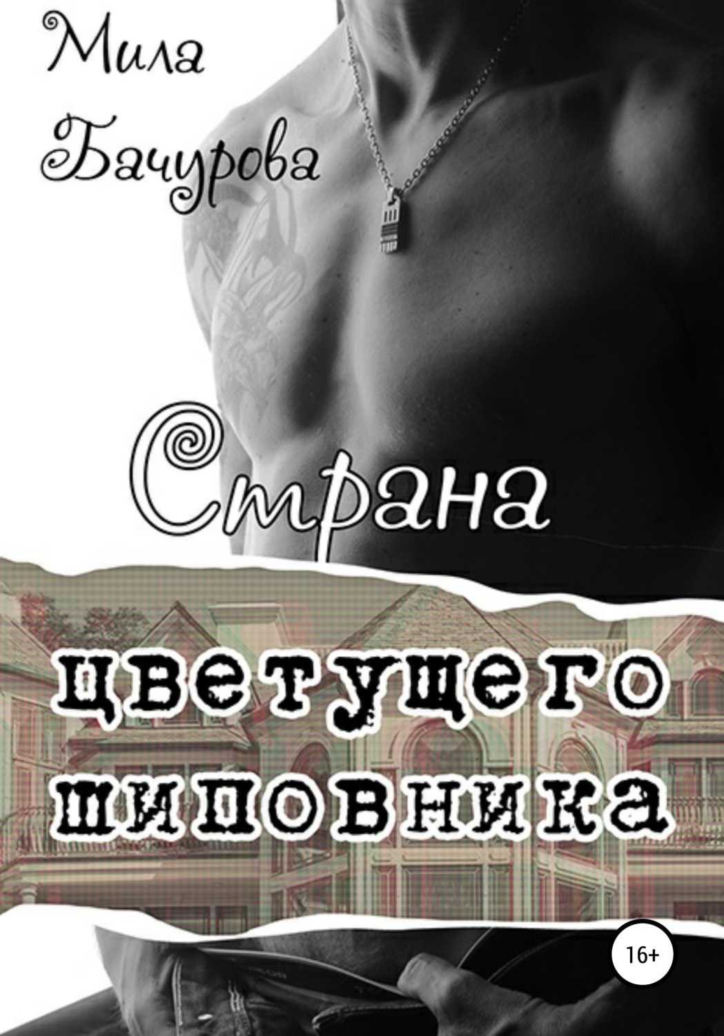 Обложка книги «Страна цветущего шиповника»