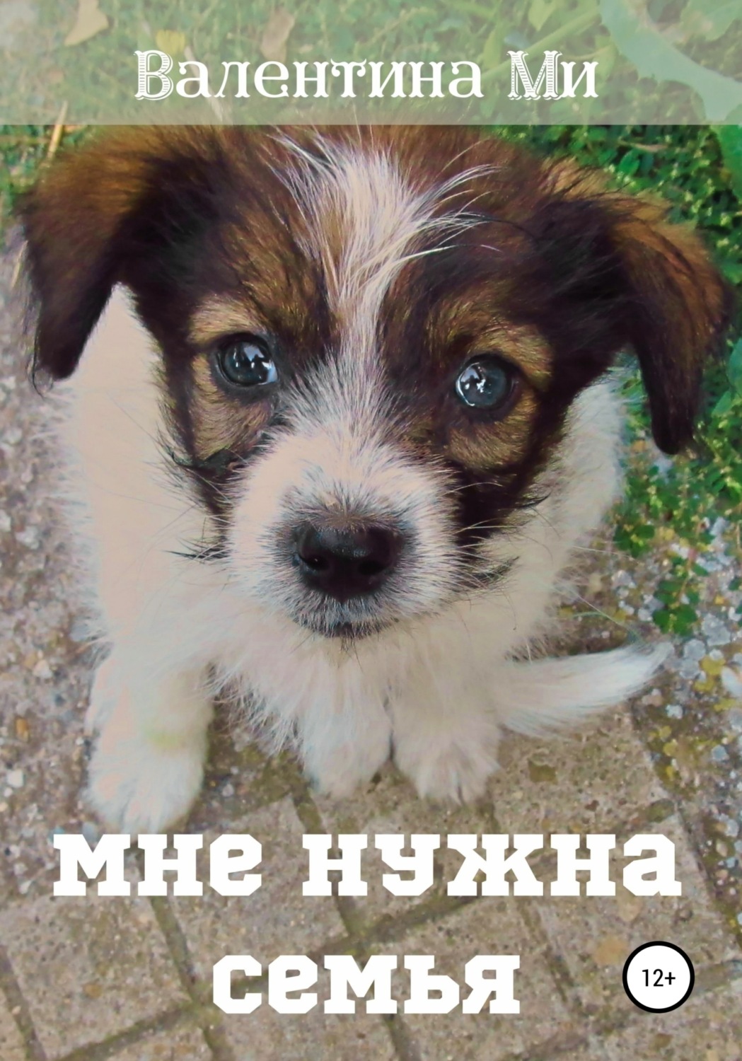 Обложка книги «Мне нужна семья…»
